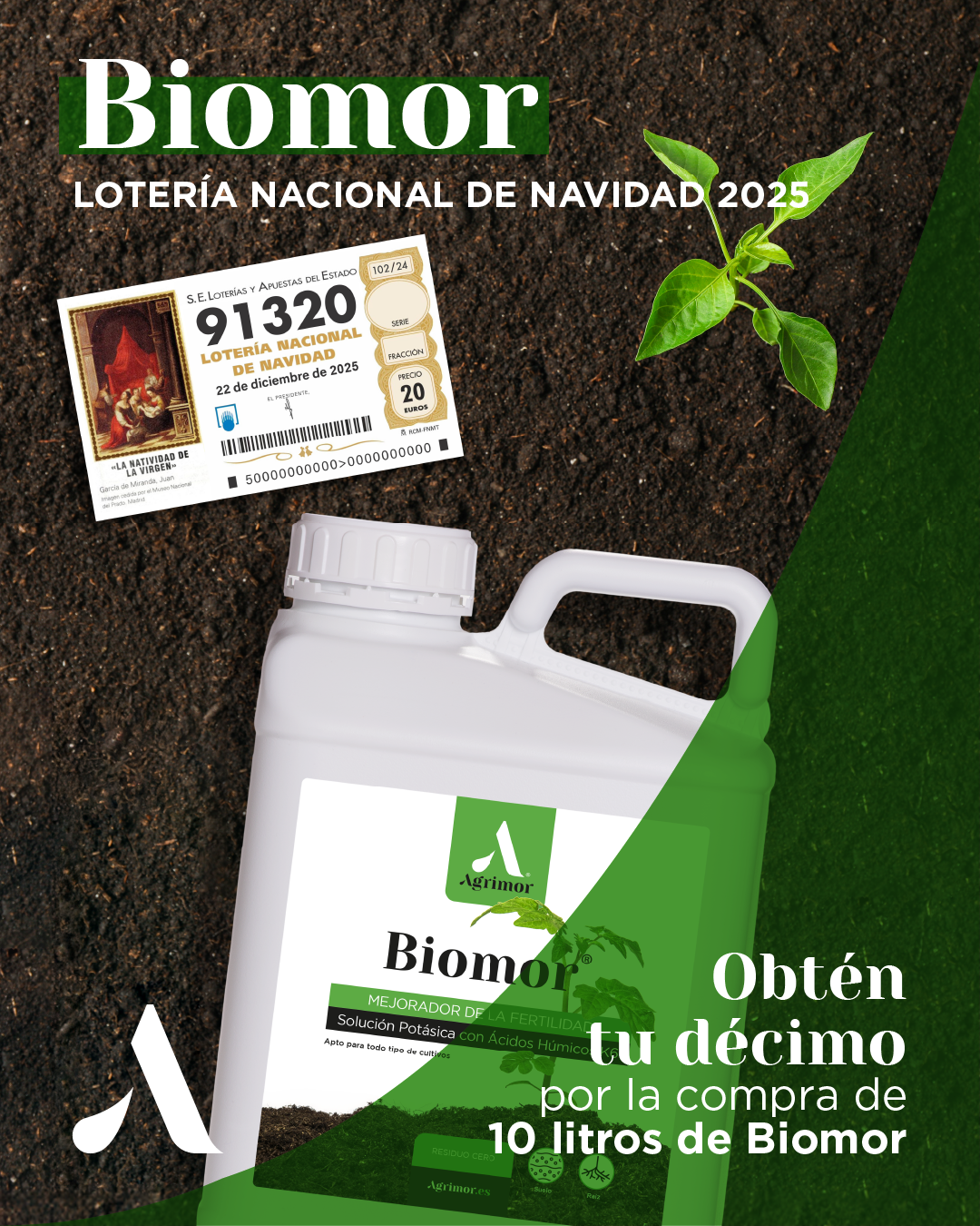 promocion-navidad-biomor